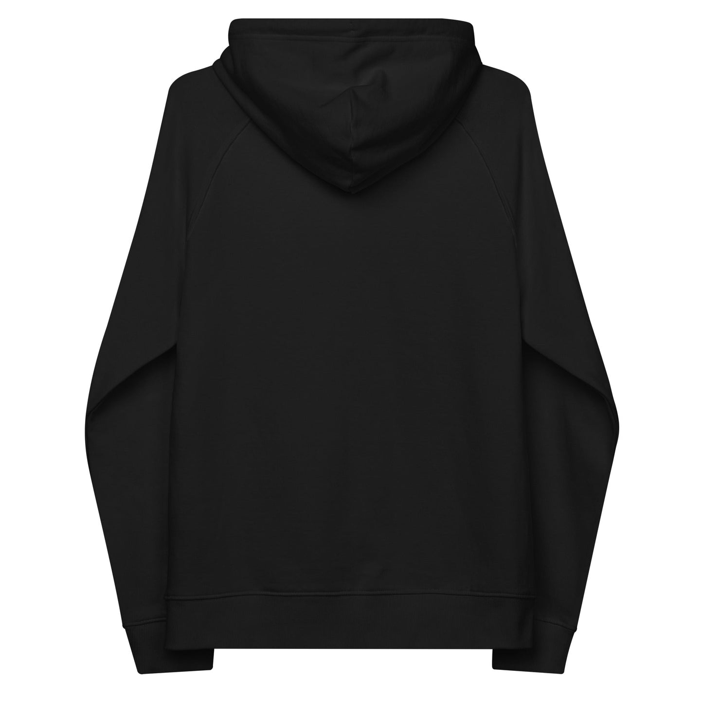 unlearn-relearn-hoodie-y4 unisex-eco-raglan-hoodie-black-back-647547b169f25.jpg