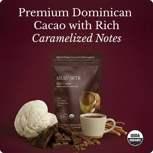hot-chocolate-z9 Hot_Chocolate_Image_01.jpg