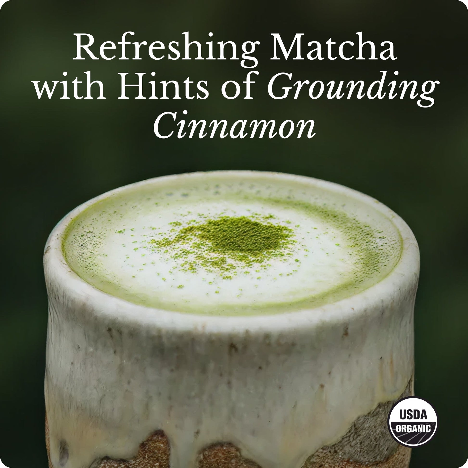 matcha-starter-kit-x3 Matcha_image_03.jpg
