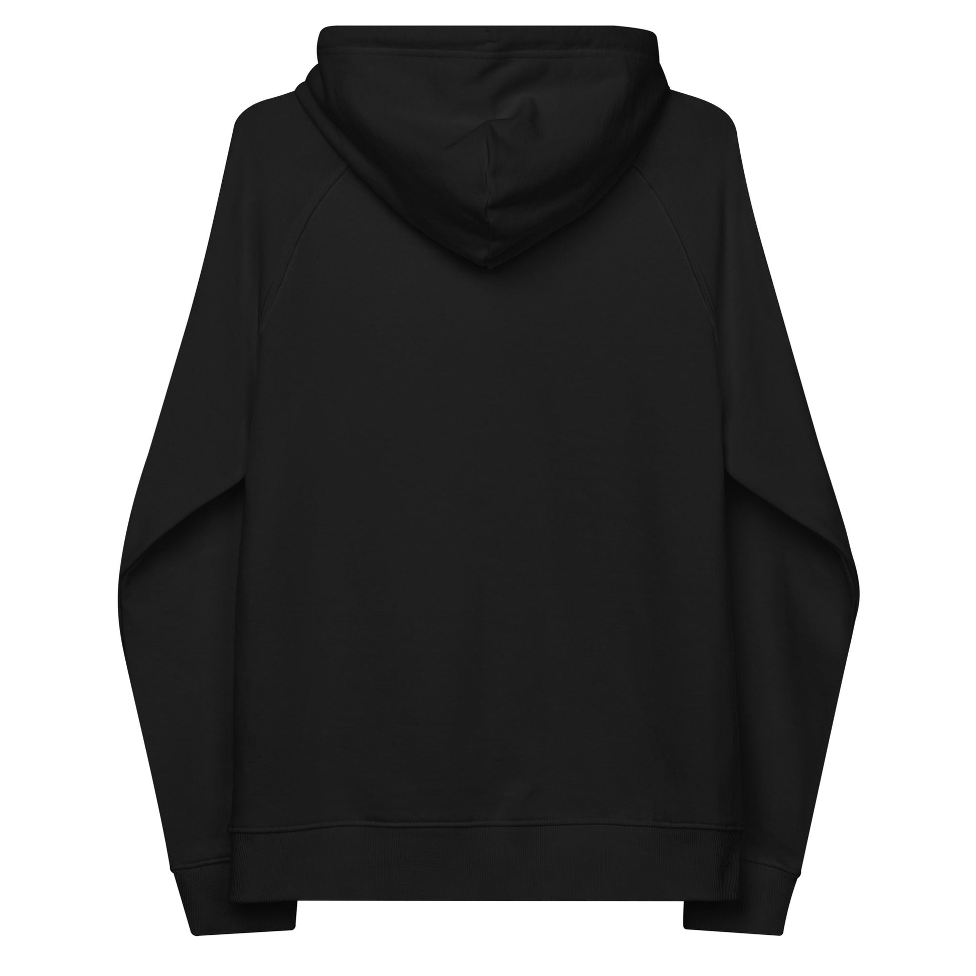 unlearn-relearn-hoodie-y4 unisex-eco-raglan-hoodie-black-back-647547b169f25.jpg